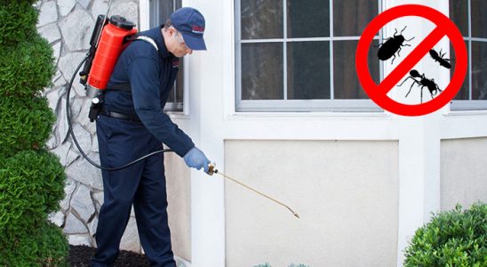 Olur Bit İlaçlama böcek ilaçlama ve haşere kontrolü — ilaclama-tr.com